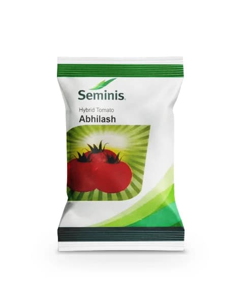 Abhilash F1 Hybrid Tomato Seeds